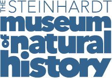 logo מוזיאון הטבע, ת״א