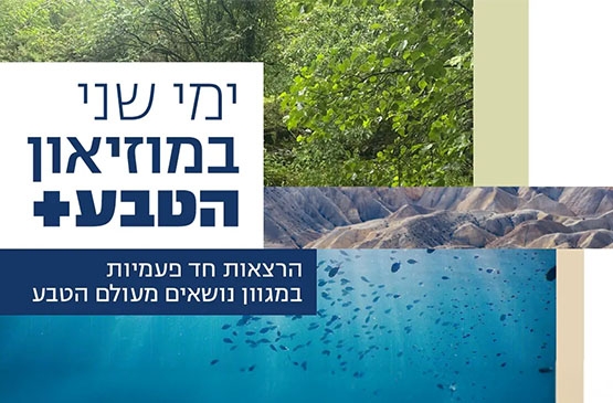 תמונת מופע: מיתוג הרצאות שני בערב