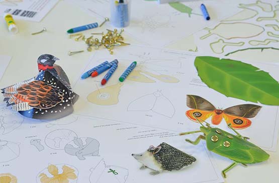 Picture of Event: A family workshop "Nature study" in Hebrew (including museum admission)